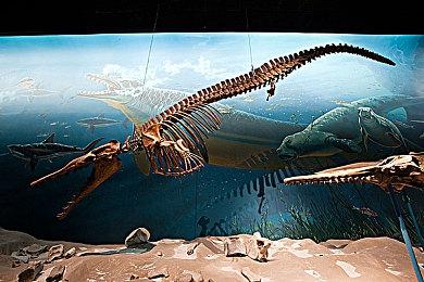 《僵尸毁灭工程》新更新内测引争议 内容很新体验不佳