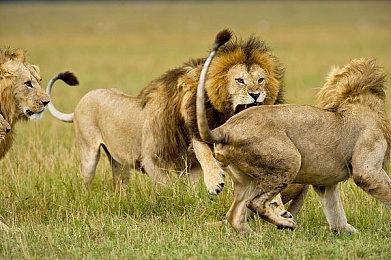 《巴比伦的陨落》体验版2月25日推出 登陆PS4和PS5