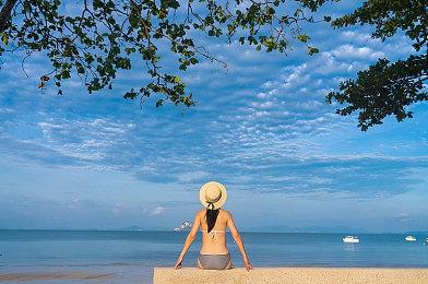 休闲风格野生动物主题策略游戏《Growth》发布试玩版